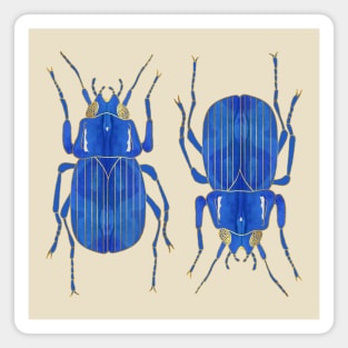 Indigo Beetles Magnet